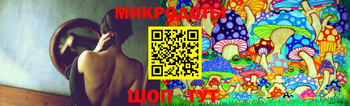наркошоп  Вход с VPN  Щёлково  Галлюциногенные грибы Psilocybe 